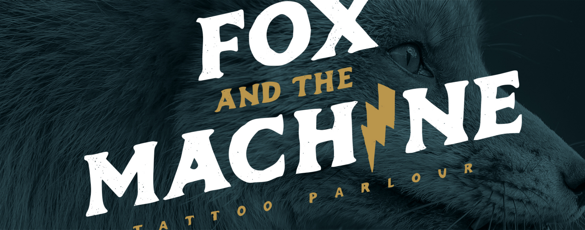 Fox and the Machine