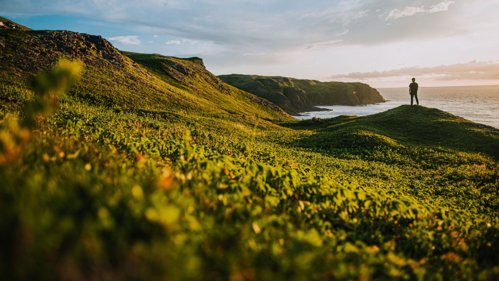 Newfoundland & Labrador's Great Coastal Grail - Photos by Dru Kennedy