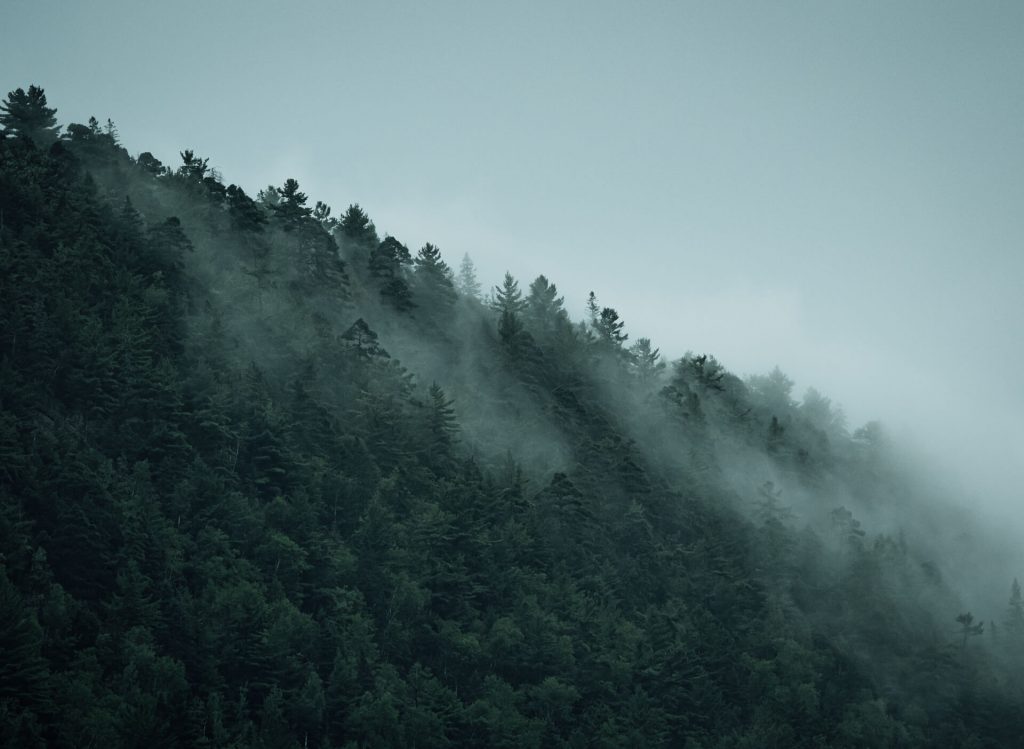 Sugarloaf Bike Park - Photo Tim Foster / Dose Design House