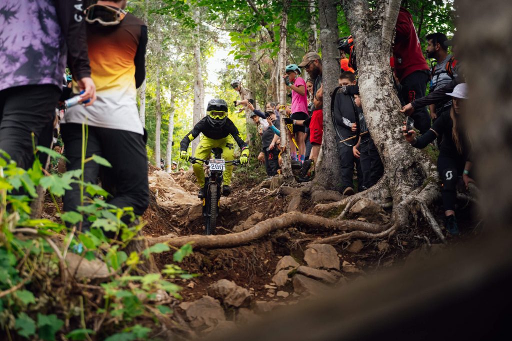 Sugarloaf Bike Park - Photo Tim Foster / Dose Design House